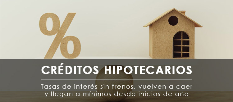 /blog/Noticias