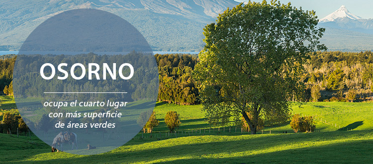 /blog/Identidad-Local